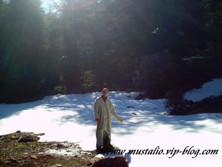 Ma tour de r�ve (Tighssaline)