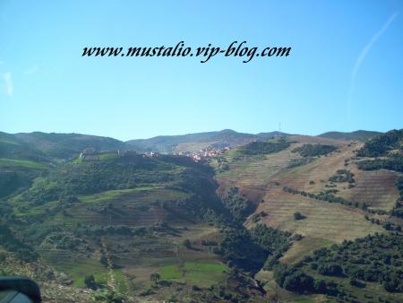 Ma tour de r�ve (Amccess)