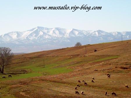 Ma tour de r�ve ( between midalt & khnifraa)