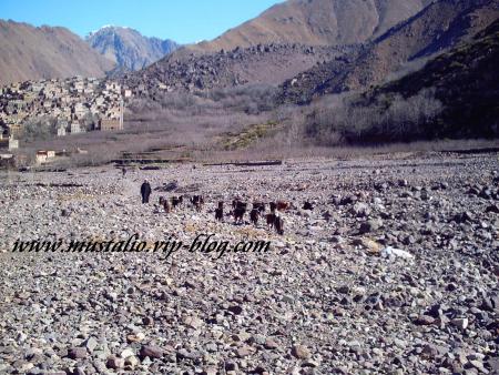 Ma tour de r�ve (Taggadir)